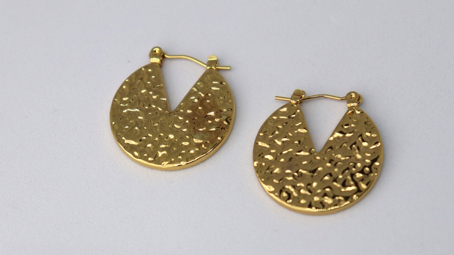 Gilded Moon Cut Earring