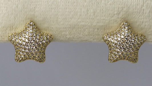 Star Stone Earring